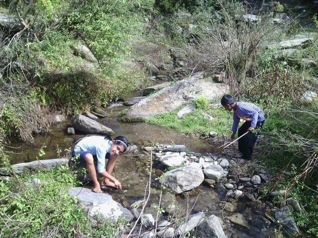 Trekking trails and Himalayan mountain views around Binsar (2)