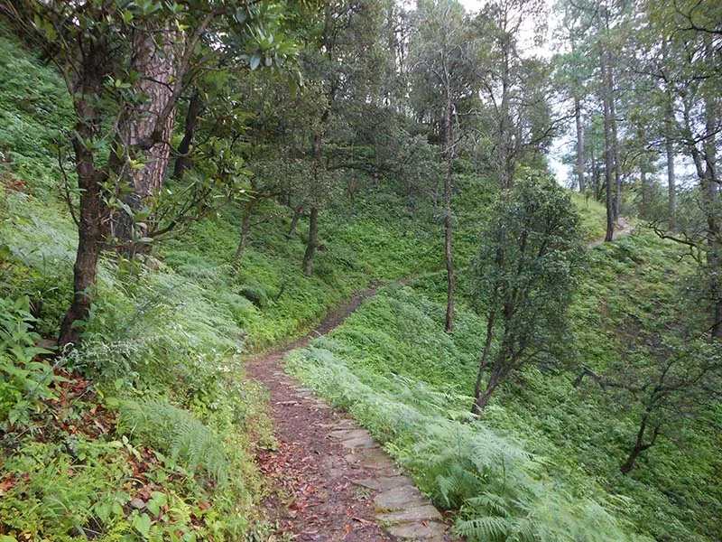 Trekking trails and Himalayan mountain views around Binsar (1)